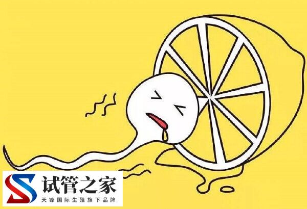 备孕期间怎么检查精dna碎片率(图3)