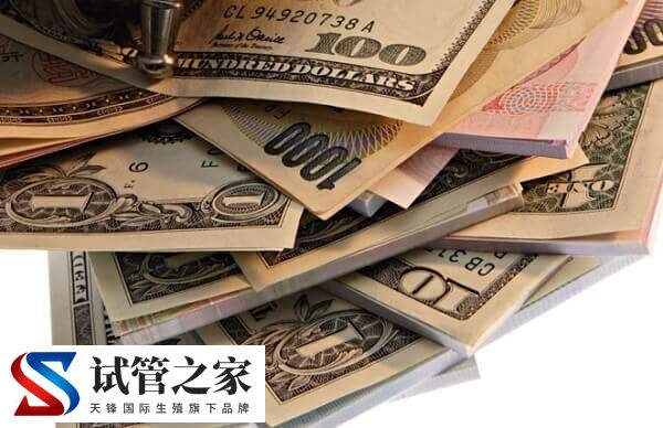 备孕期间怎么检查精dna碎片率(图4)