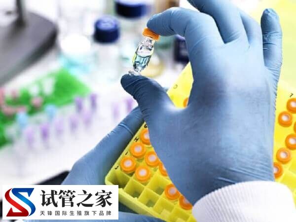 囊胚移植后连续打一周2000单位的hcg针有什么作用?(图1) 囊胚移植后连续打一周2000单位的hcg针有什么作用?(图1)