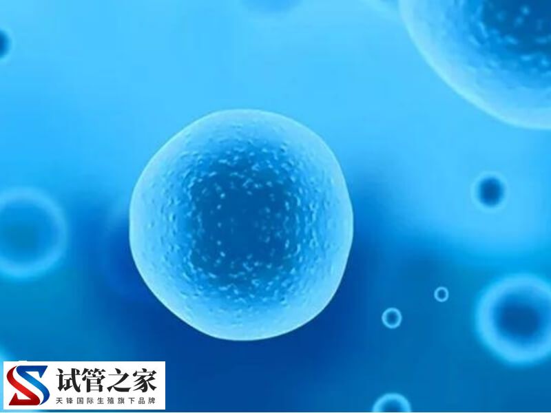 卵子质量不好影不影响胎儿健康(图2) 卵子质量不好影不影响胎儿健康(图2)