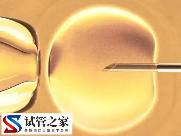 短方案促排后打hcg的作用是什么(图1)