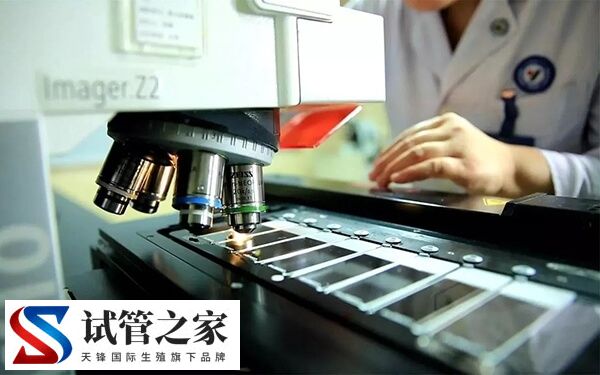 高龄做试管婴儿前要注意什么(图1)