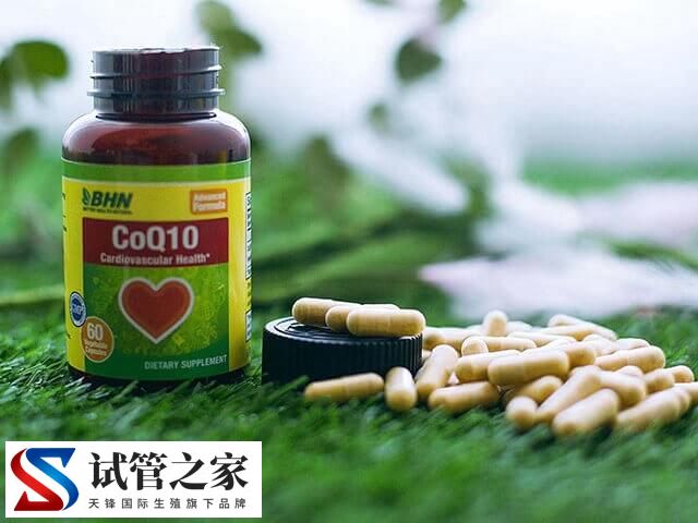 取卵前吃辅酶q10怎么样(图1) 取卵前吃辅酶q10怎么样(图1)