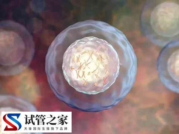 三代试管可不可以筛查红斑狼疮(图1)