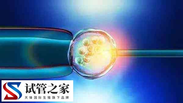 3代试管可不可以筛查出嵌合体胚胎(图1) 3代试管可不可以筛查出嵌合体胚胎(图1)