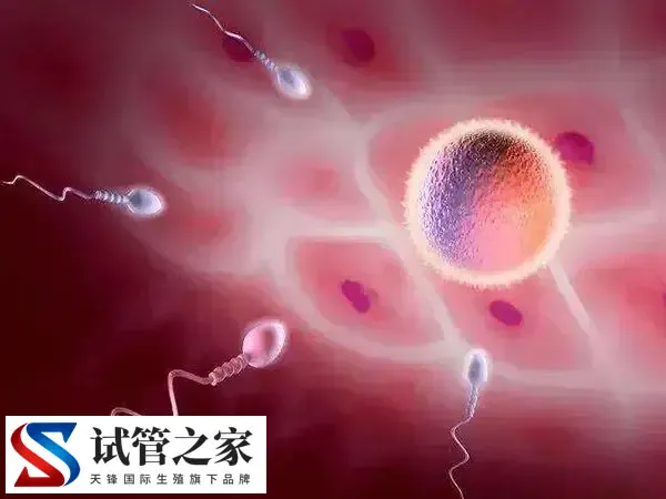 移植后腹部有刺痛感什么原因(图1) 移植后腹部有刺痛感什么原因(图1)