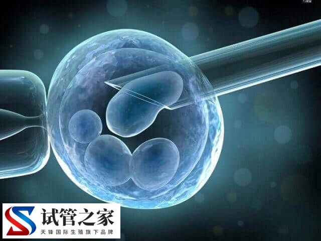 取卵位置不好子宫穿刺有什么风险(图1) 取卵位置不好子宫穿刺有什么风险(图1)