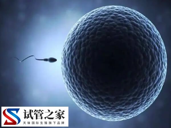 取卵位置不好子宫穿刺有什么风险(图2) 取卵位置不好子宫穿刺有什么风险(图2)