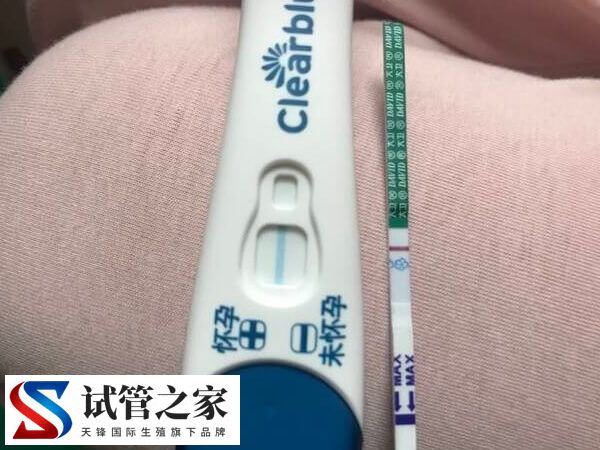 移植两枚鲜胚第六天测出白板正不正常(图1)