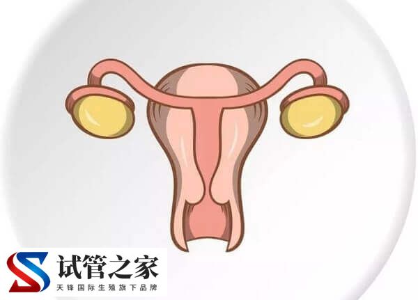 女性月经量少怎么回事(图1)