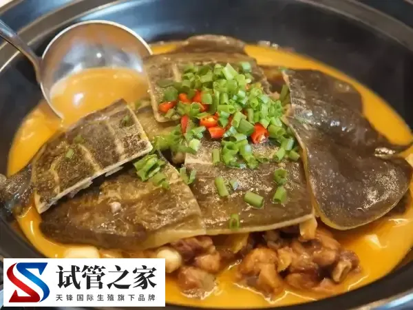 试管婴儿期间能不能喝甲鱼汤(图1)