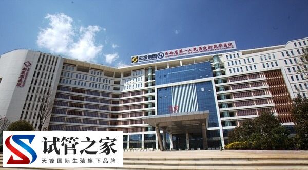 云南省第一人民医院试管婴儿成功率多少(图1)