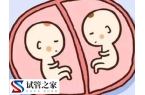 试管移植双胞胎有什么风险