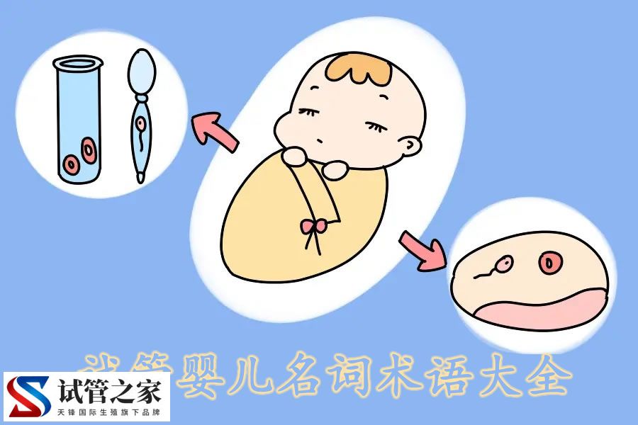 试管婴儿名词术语大全:激素与卵巢储备指标
