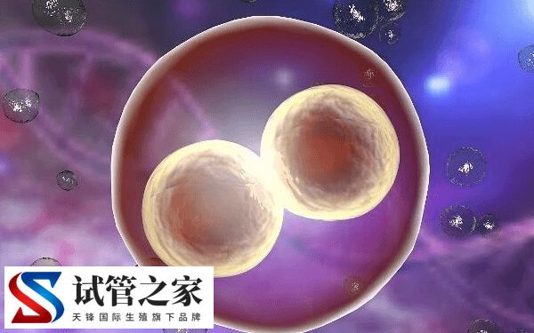 三代试管婴儿可以筛查哪些疾病(图1) 三代试管婴儿可以筛查哪些疾病(图1)