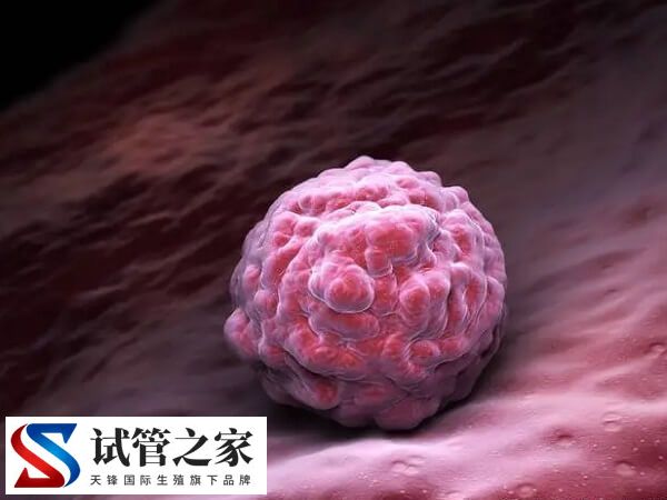 试管移植子宫动脉血流多少正常