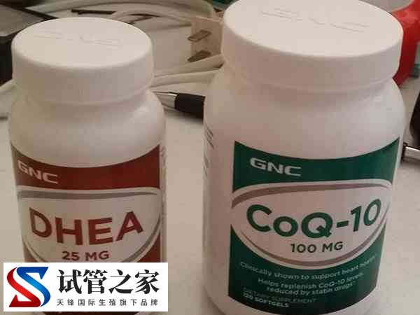 试管移植后能不能吃辅酶Q10和DHEA