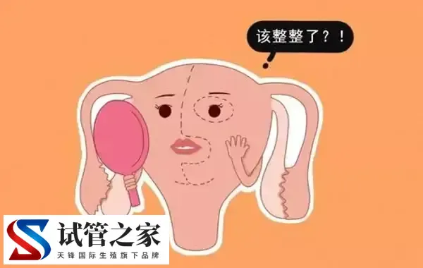 始基子宫怎么治疗(图2)