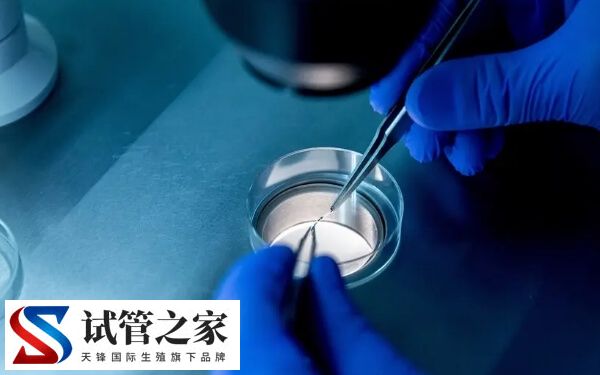 囊胚移植第四天着床有什么感觉