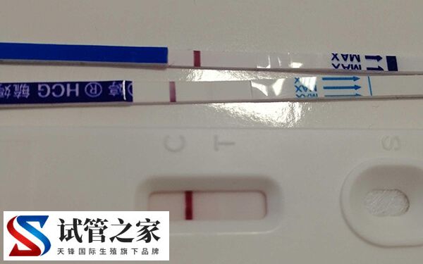 移植囊胚4bb第7天测白板有没有希望