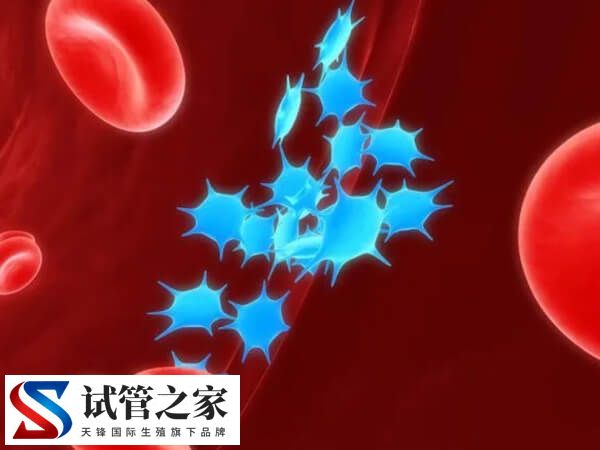 服用dha的副作用是什么