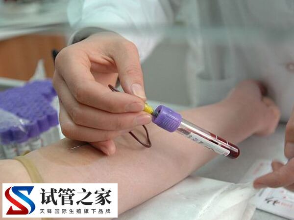 鲜胚移植14天血值多少正常(图1) 鲜胚移植14天血值多少正常(图1)