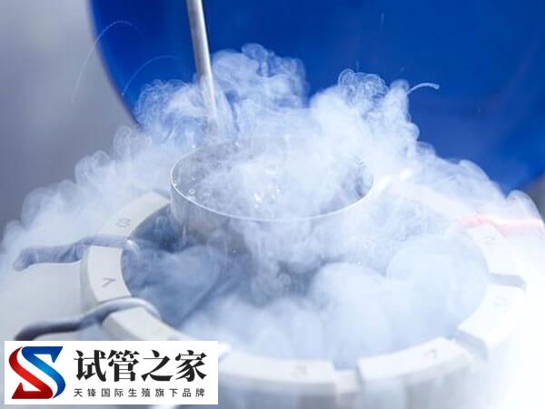 第二次试管移植过程是怎样的(图1) 第二次试管移植过程是怎样的(图1)
