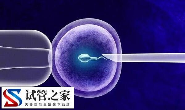 6ba囊胚的质量怎么样(图1)